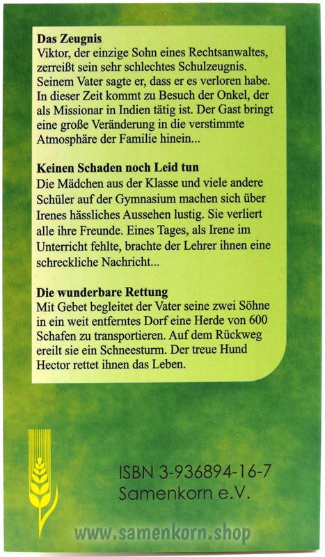 Das Zeugnis / Buch