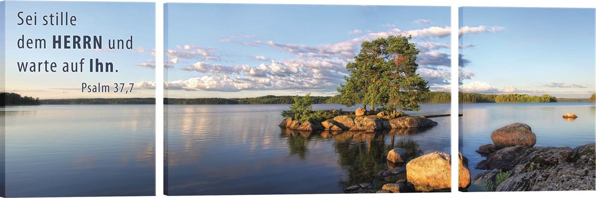 Bild "See mit Insel"