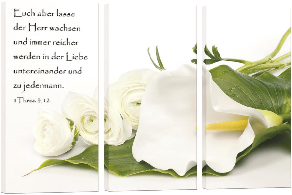 Bild "Weiße Calla und Rosen"
