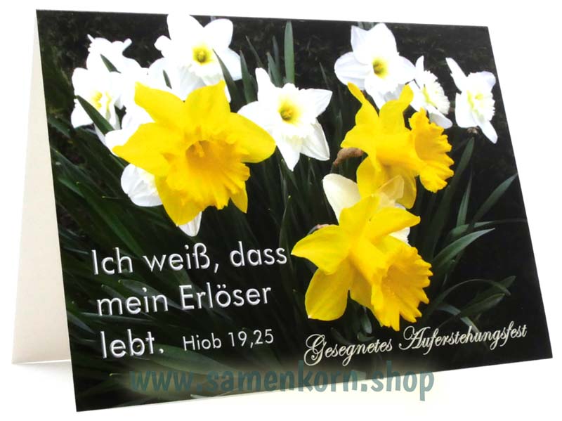 Doppelkarten zu Ostern / 5 Karten