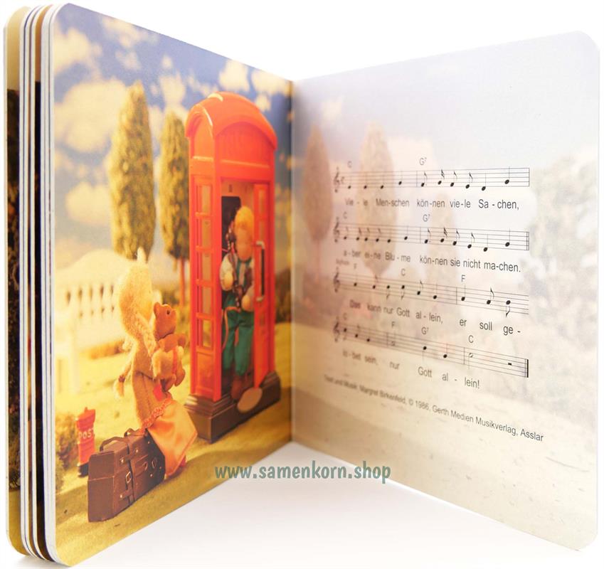Pappe-Buch-Paket 2