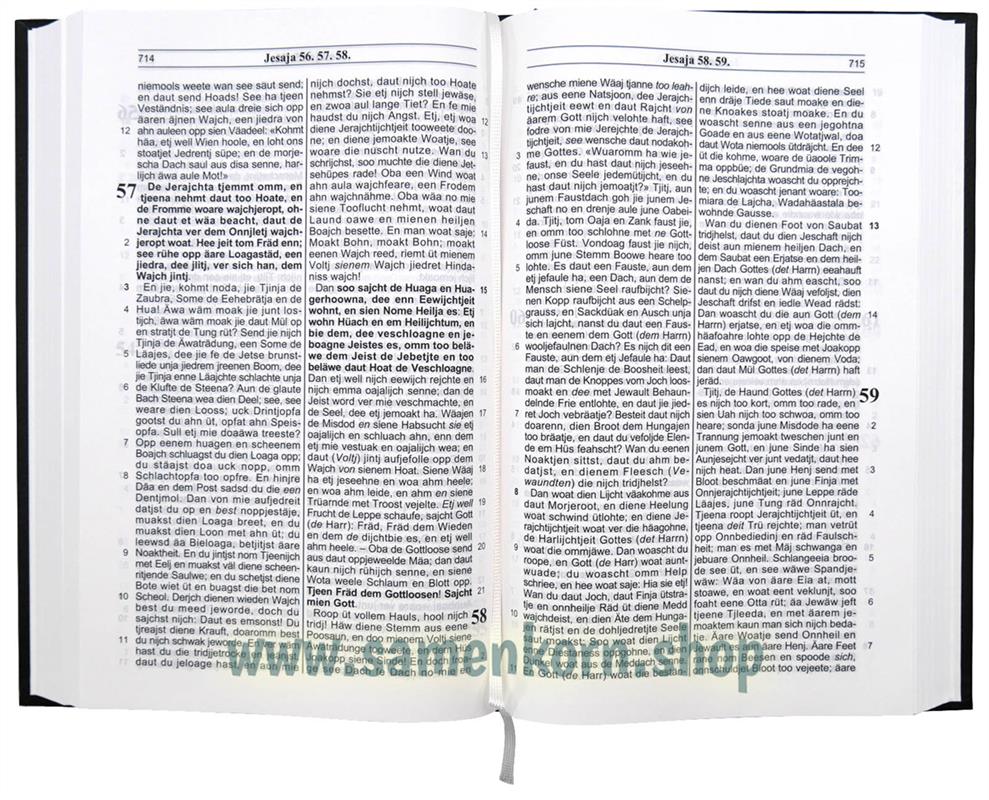 De Bibel in Plattdeutsch / Hardcover, schwarz / Buch
