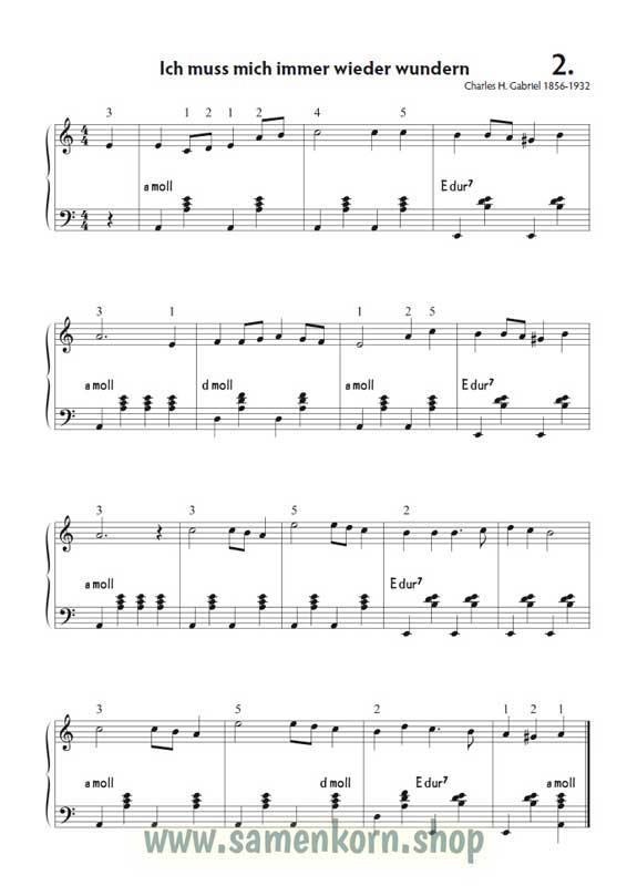 Christliche Lieder für Akkordeonanfänger / Notenheft+CD