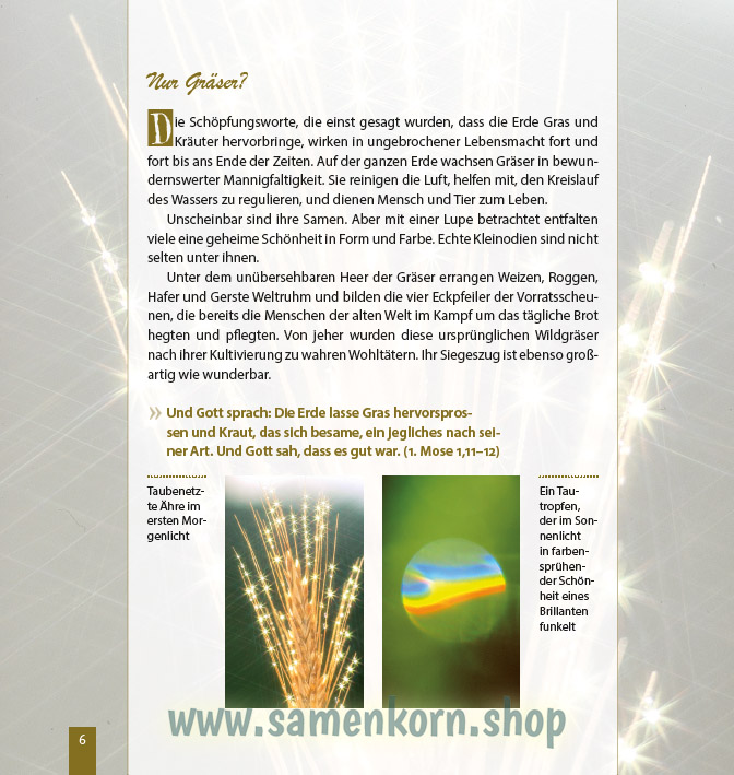 Wunder vom Weizenkorn zum Brot / Buch
