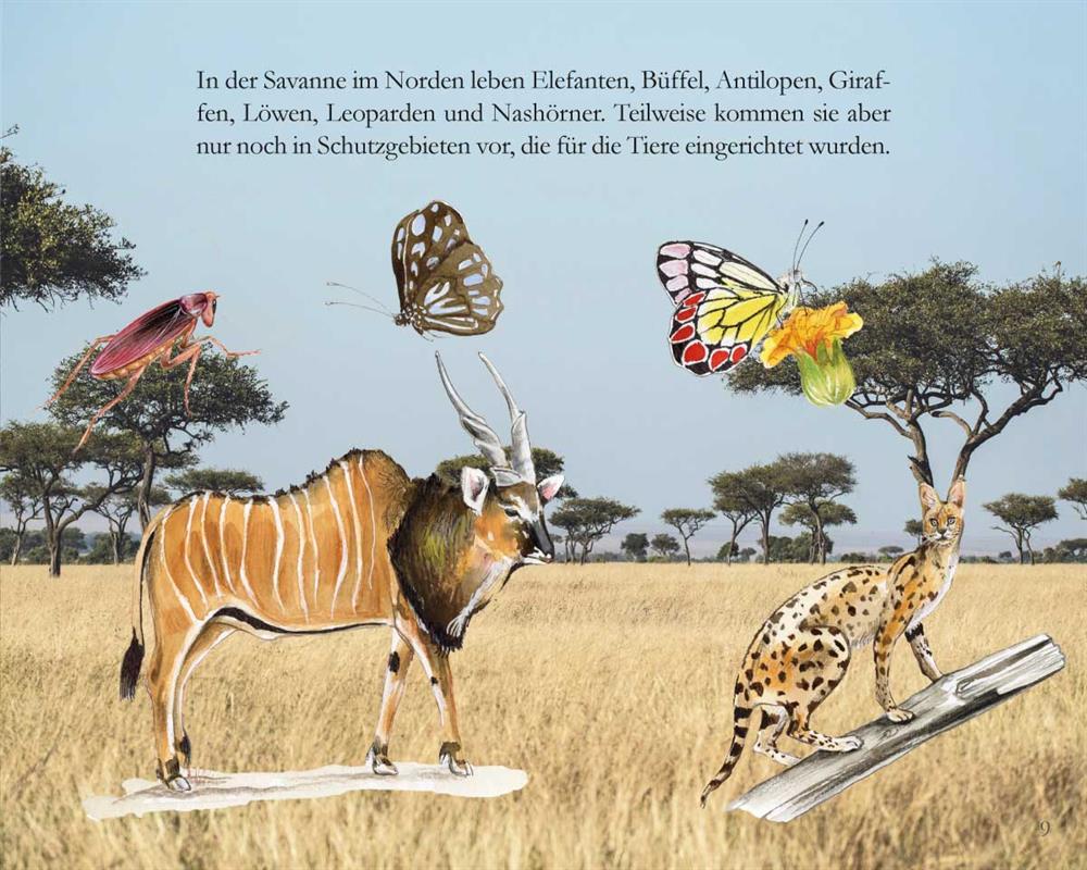Der Fall vom Mangobaum - Kinder in Kamerun / Heft