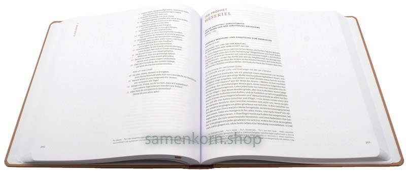 Menge 2020, AT, Prediger-Maleachi, Journaling Edition / Buch