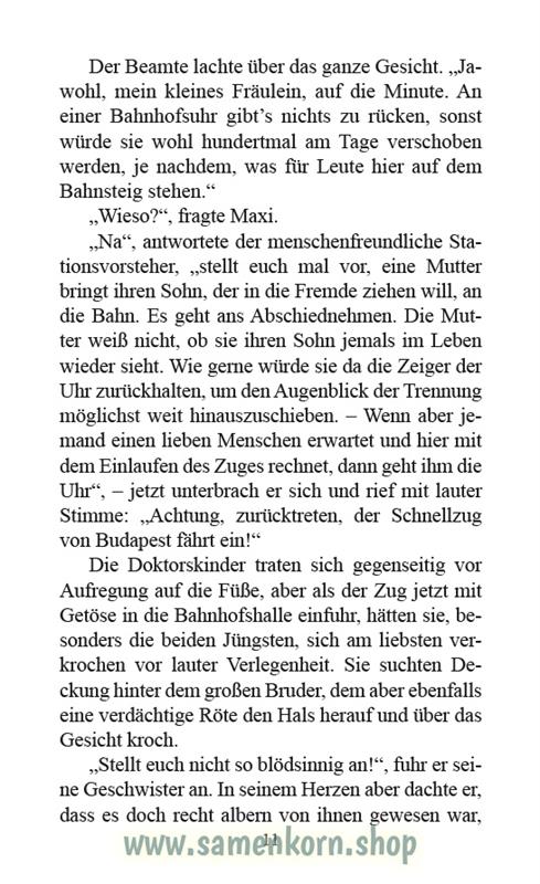 Winifreds Spiegel / Buch