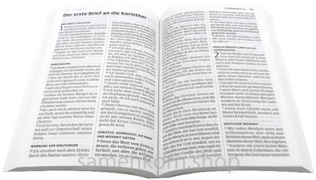 Luther21 Neues Testament, Psalmen, Sprüche - Motiv "Frisches Wasser", klein, Paperback/ Buch