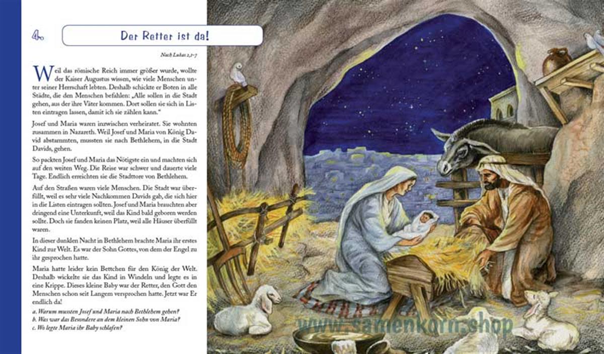 Entdecke die Bibel - NT / Kinderbibel