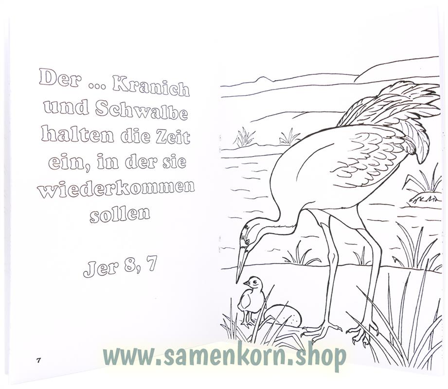 Malheft / Vögel / Heft