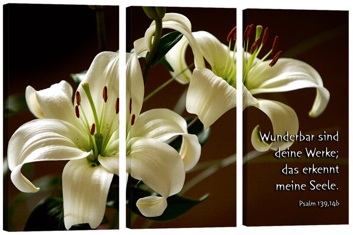 Bild "Lilien"