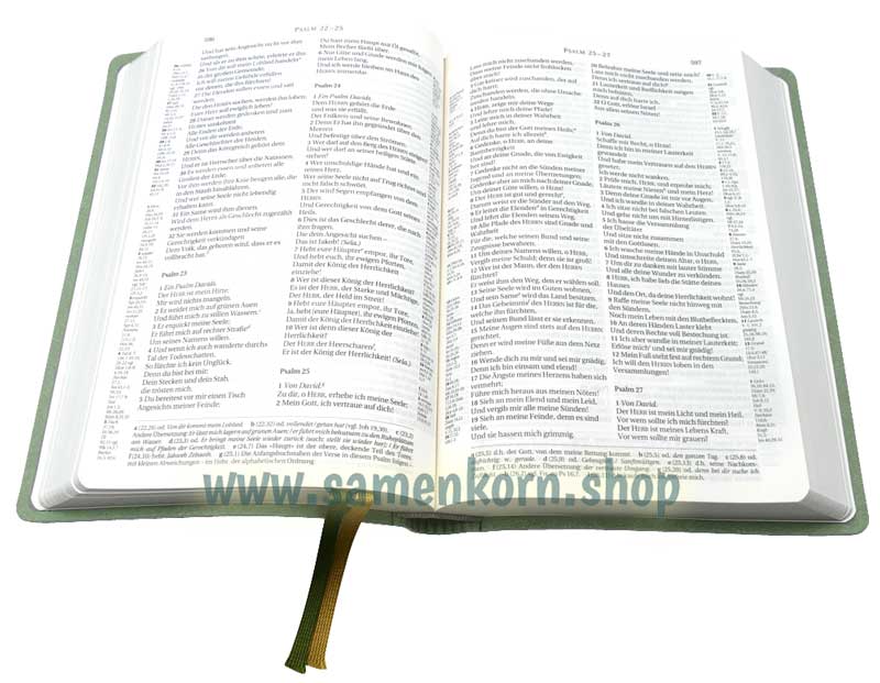 Schlachter 2000 - TA, PU, oliv, grauer Farbschnitt / Buch