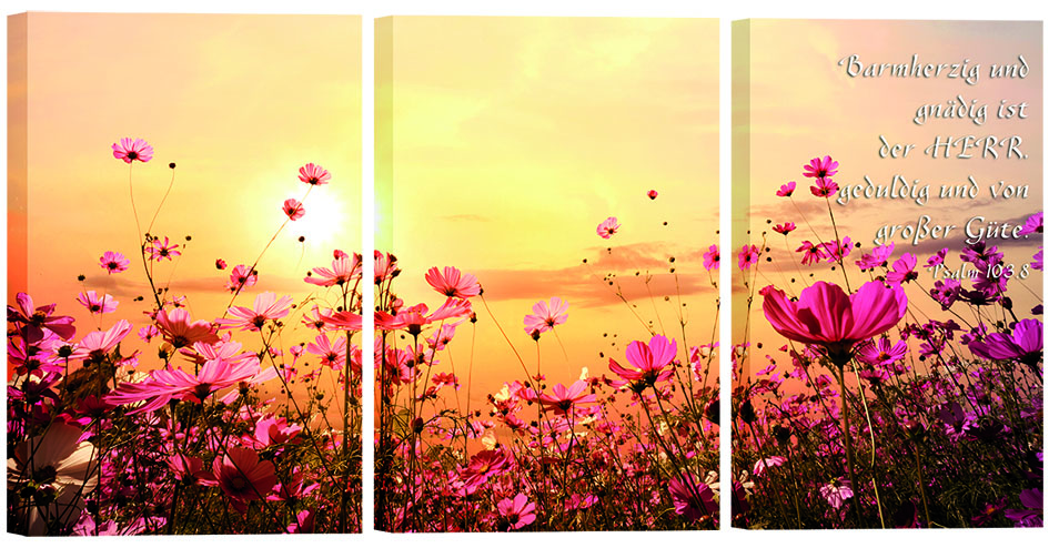 Bild "Blumenfeld"