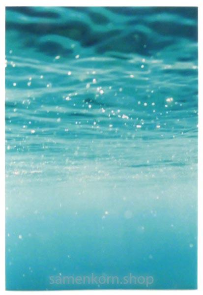 Luther21 Neues Testament, Psalmen, Sprüche - Motiv "Frisches Wasser", klein, Paperback/ Buch