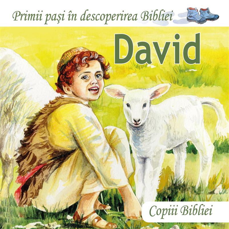 David / Pappbuch Rumänisch