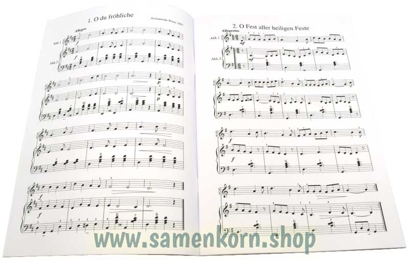 Akkordeon Unterricht / Notenheft zu Weihnachten