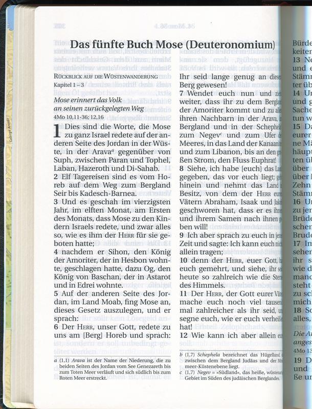 Schlachter 2000 Großdruck, Kalbsleder, flexibel, Goldschnitt