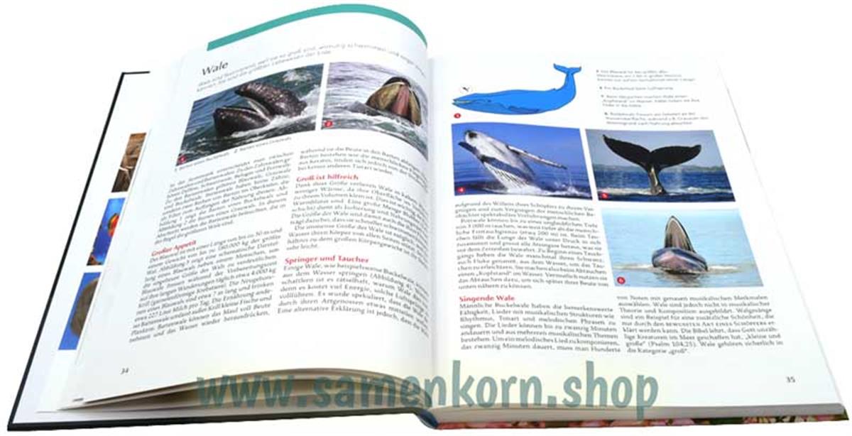 Wunderwerke / Buch