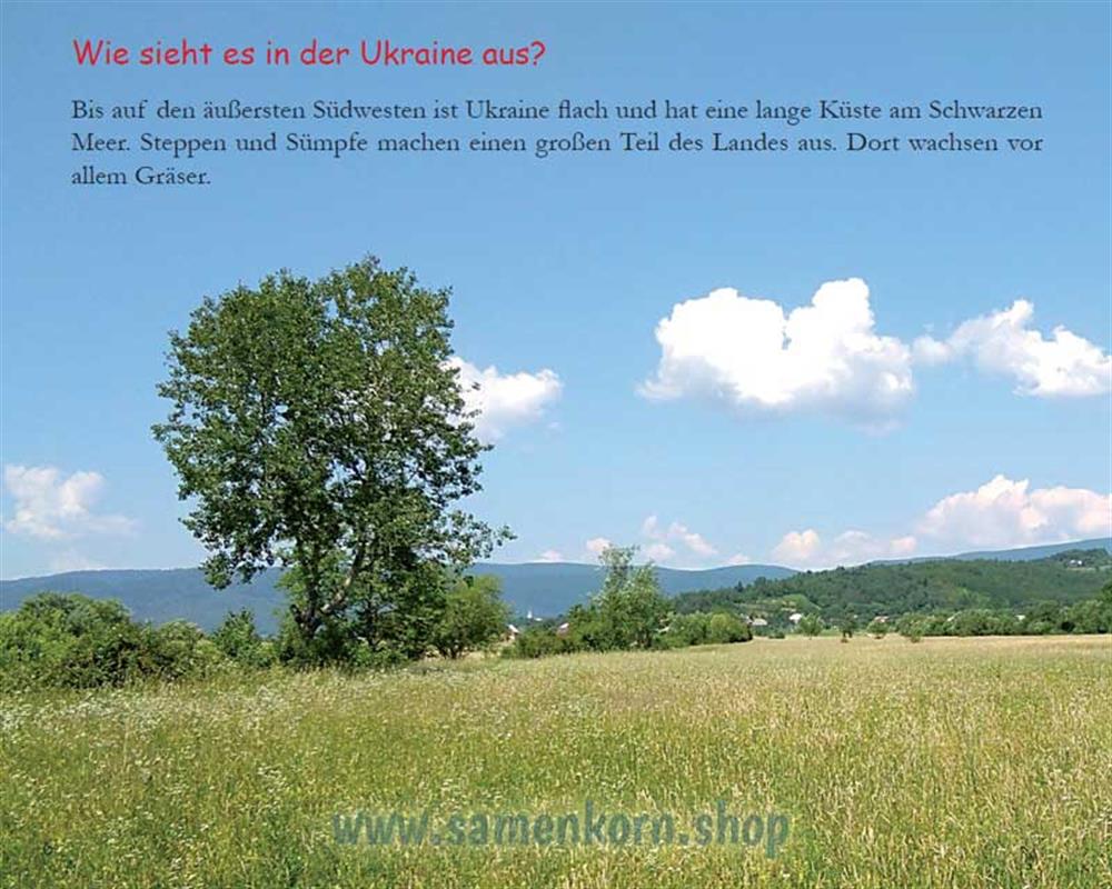 Die Nacht im Wald - Kinder in der Ukraine / Heft